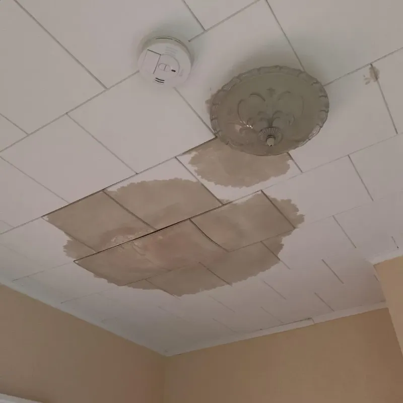 Ceiling Water Damage Repair in Edgemont Park, MI