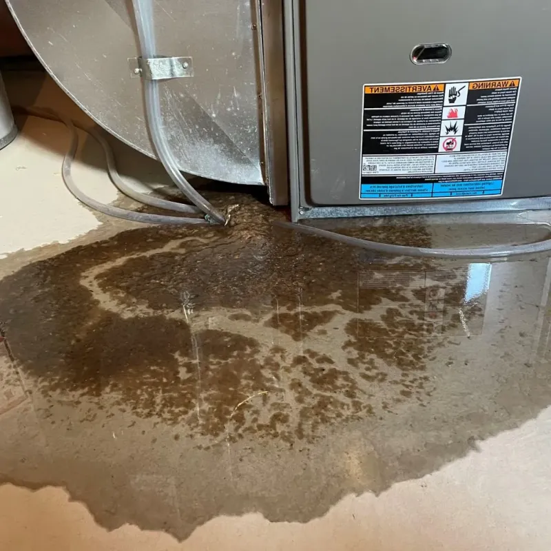 Pipe Burst and Leak Restoration in Edgemont Park, MI