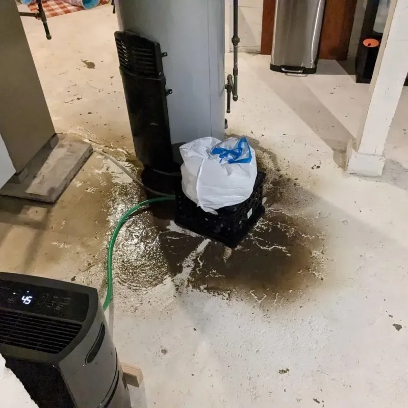 Sewage Backup Cleanup Service in Edgemont Park, MI